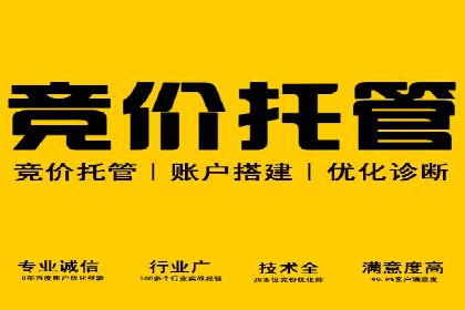 深度解析sem推广竞价：成功案例与经验分享